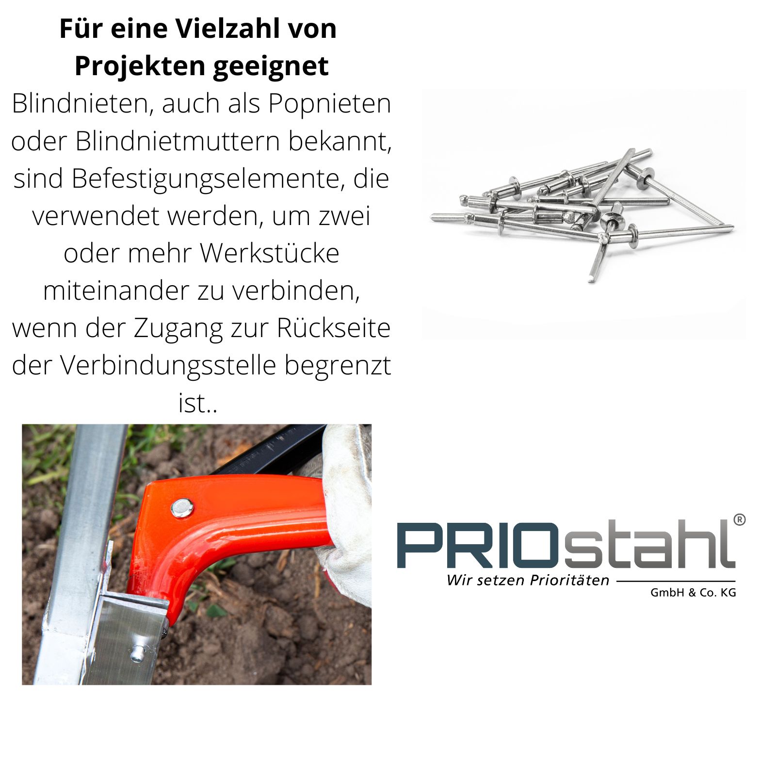 Blindnieten Großkopf Flachkopf Nieten Dichtnieten Popnieten Edelstahl Blindnieten Großkopf Flachkopf Nieten Dichtnieten Popnieten Edelstahl