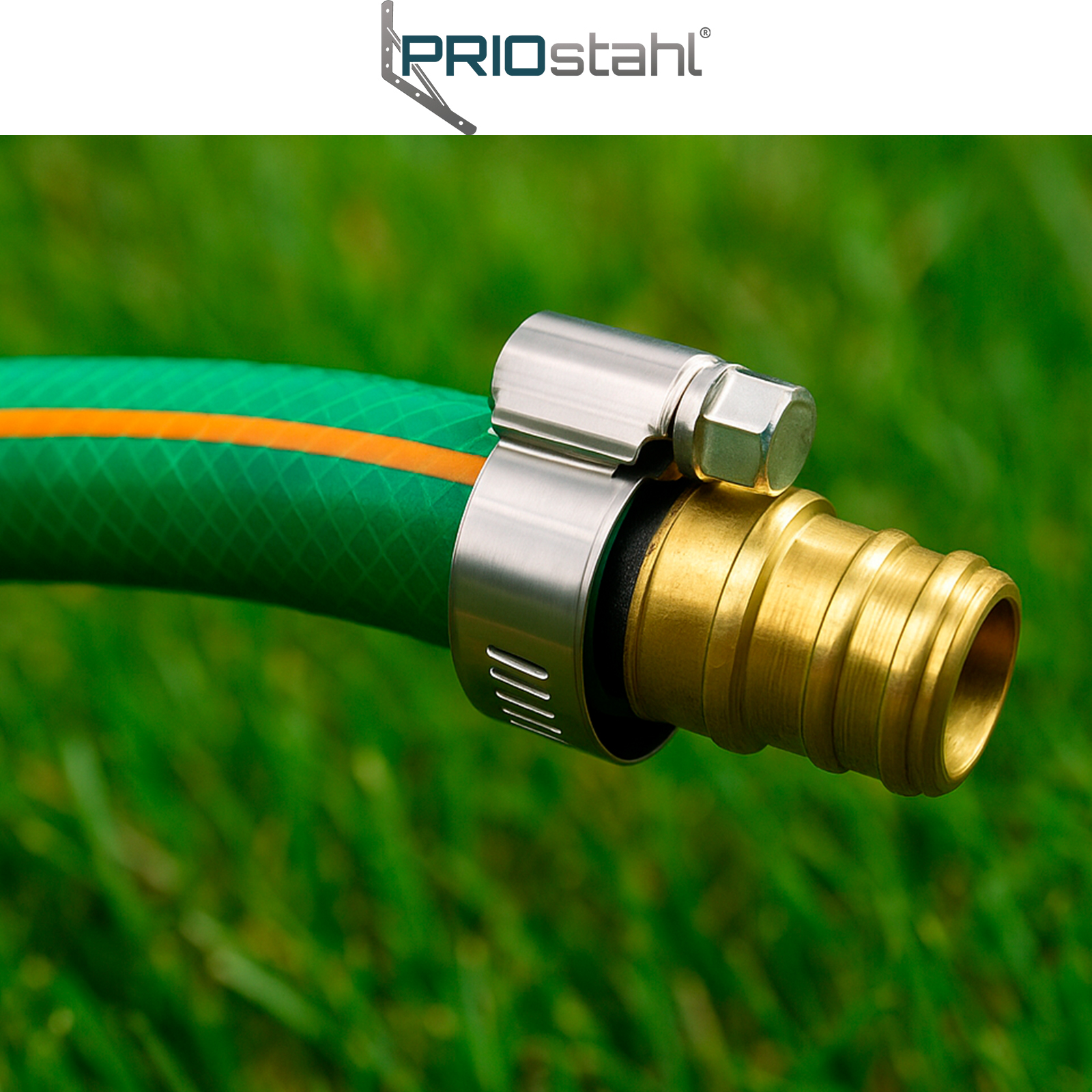 Schlauchschelle an einem Gartenschlauch